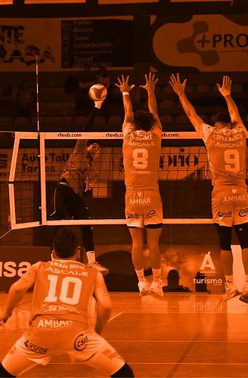 Proyecto Teruel Volley — Identidad Visual